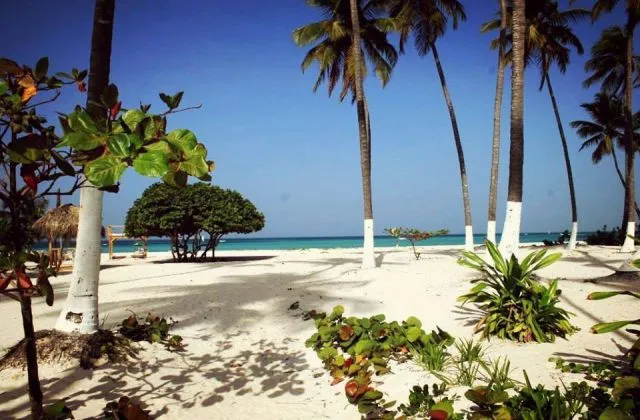 Apparthotel Bavaro Green Punta Cana plage